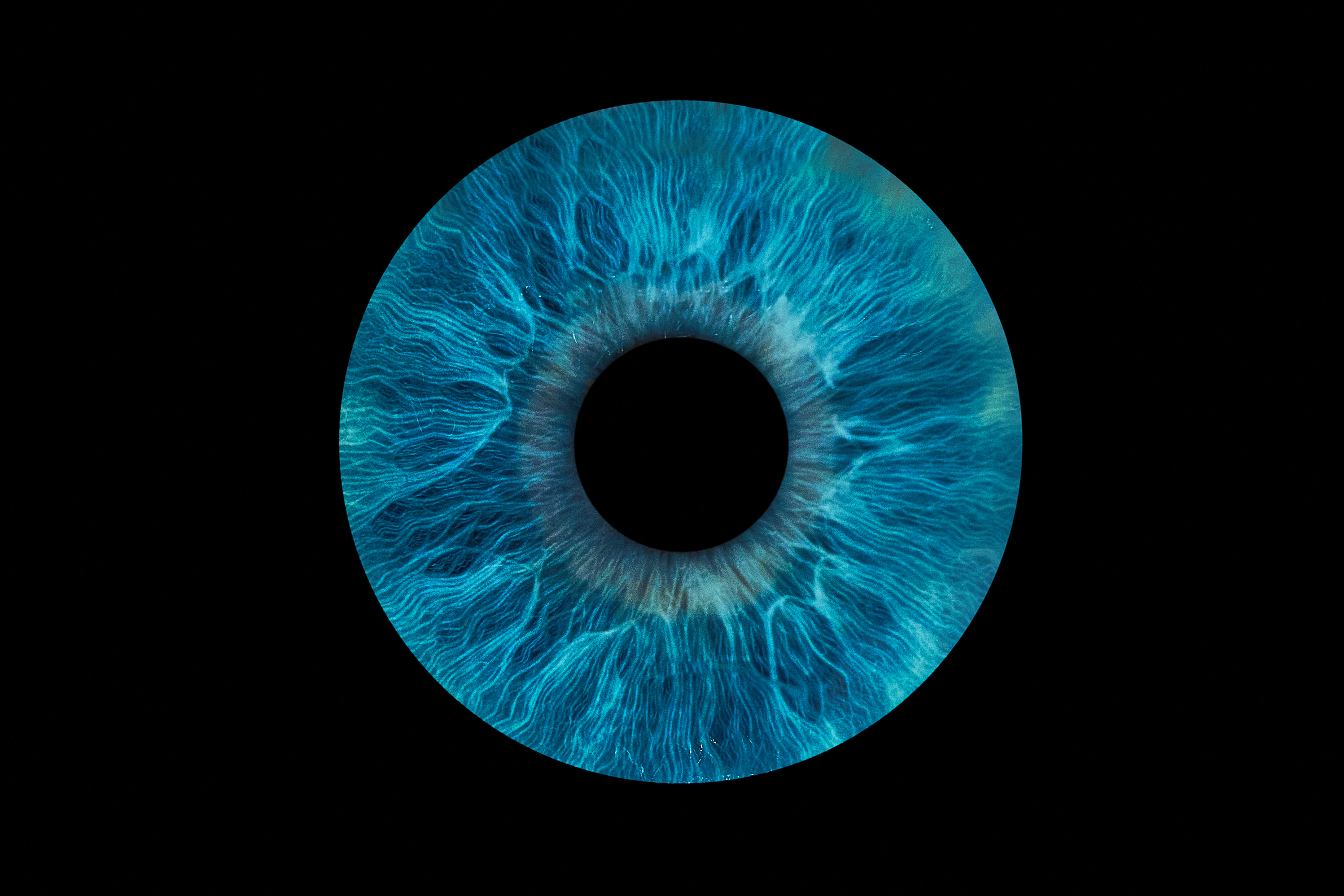 Detailaufnahme einer wunderschönen, farbigen menschlichen Augen-Iris